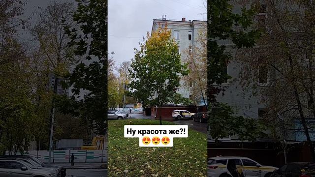 Ну красота же?!