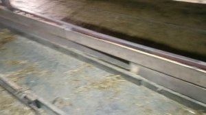 Сделайте это и надои увеличатся