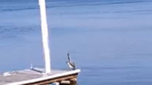 Путешествие в Мексику (обновленная версия)