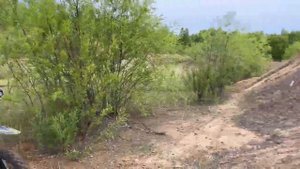 Первые выкатки