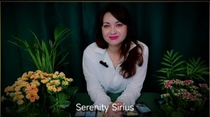 ТАРО ДЛЯ МУЖЧИН⚡ЧТО ОНА ДУМАЕТ О ТЕБЕ⚡ЕЁ ЧУВСТВА⚡ЧЕГО ОНА ЖДЁТ⚡совет Высших Сил⚡перспективы расклад