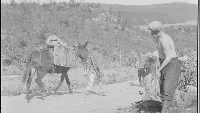 Тайны Кольского полуострова. ЖЕЛЕЗНАЯ ГИДРА.