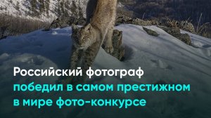 Российский фотограф победил в самом престижном в мире фото-конкурсе