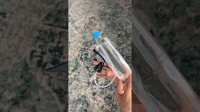 Что случится, взять бутылку и прыскалку ?  Больше полезных видео @tobolator