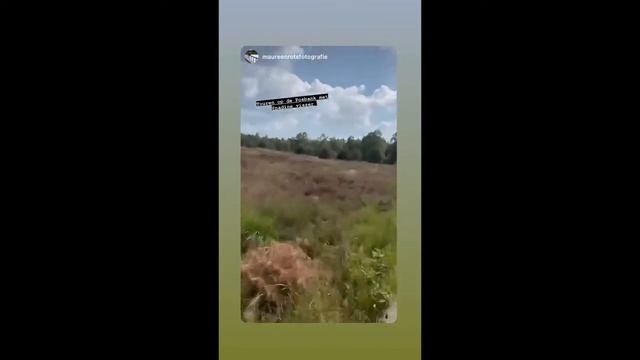 Nadine Visser смотреть онлайн