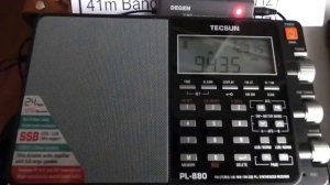 Tecsun PL-365 vs Tecsun PL-880