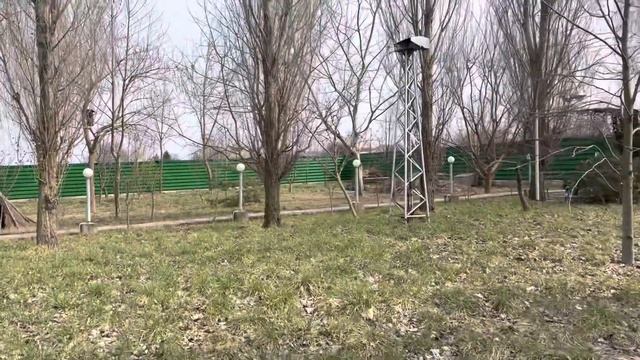 День смеха с французскими бульдогами 😜 смотреть онлайн