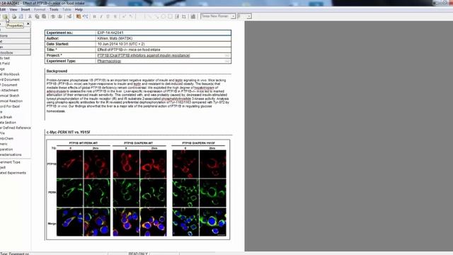 Moving from the Windows to the Web-Client смотреть онлайн