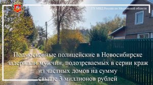 Подмосковные полицейские задержали мужчин, подозреваемых в серии краж из частных домов в Ступино