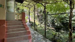 Сдаётся посуточно двухкомнатный дом до моря 5-7 мин пешком, wi-fi, зеленый двор - Геленджик