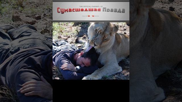 Почему коты спят с человеком? 2 3 причина