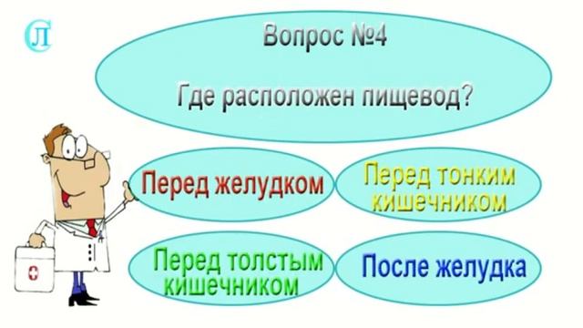 Медицинская викторина №3. Тема: Анатомия пищеварительной системы