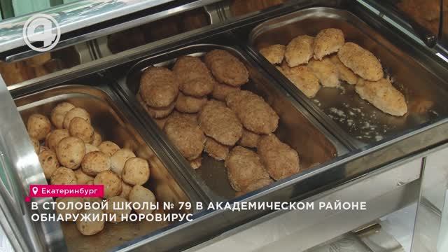 В столовой школы № 79 в Академическом районе обнаружили норовирус