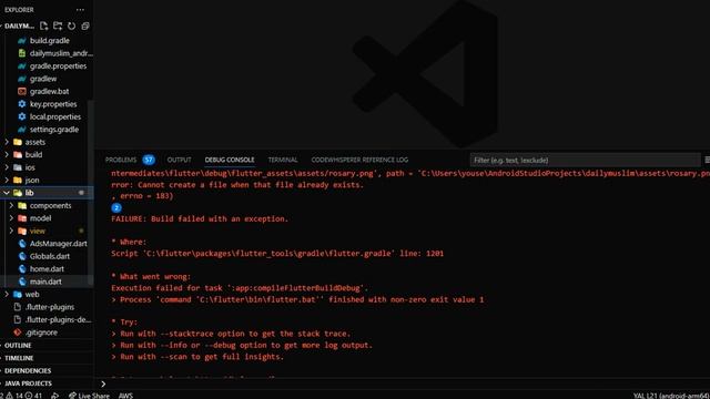 learn flutter and android . :app:compileFlutterBuildDebug'