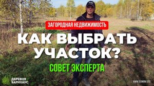 Как выбрать участок? На что обратить внимание, совет эксперта. Акция в нашем поселке осень 2024