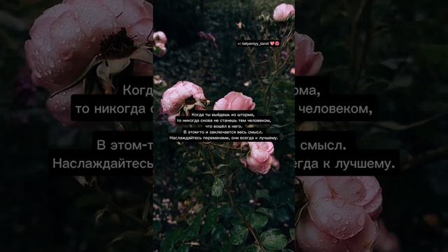 тг: tatyaniyy_tarot 🌺🩷 #tiatarot #духовность #трансформация #ведьмовство #изменения