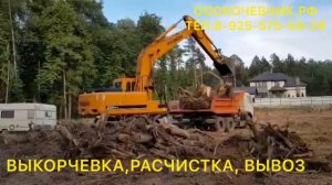 ВЫКОРЧЕВКА,РАСЧИСТКА,МУЛЬЧИРОВАНИЕ ПОЛЕЙ,УЧАСТКОВ ОТ МЕЛКОЛЕСЬЯ,ДЕРЕВЬЕВ,ДКР,КУСТОВ,КОРНЕЙ,ПОРОСЛИ.