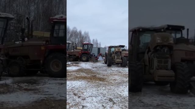 Жизнь мульчеристов/Будний день с трактористами #услугимульчера #расчисткаподстроительство #мульчер