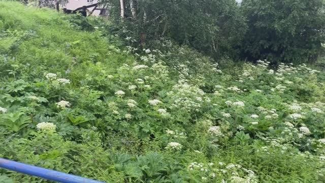 Эссо позор Часть 3
