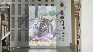 Светодиодный экран для витрины. Шаг пикселя 4 мм, уличная яркость.