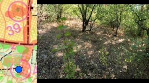 Новочеркасск, Агролес 22.09.2024