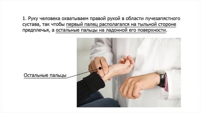 измерение пульса смотреть онлайн
