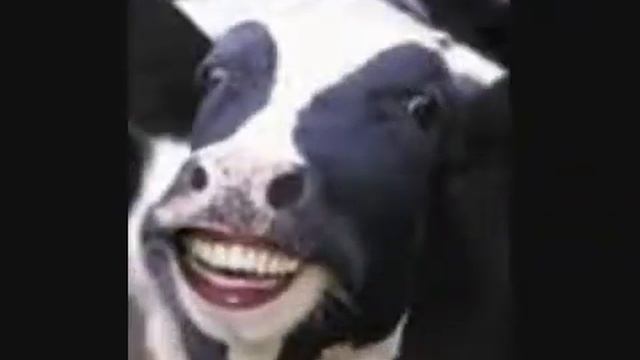 Cows смотреть онлайн