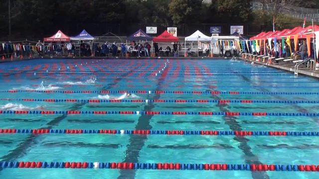 Jason Kwok Swim 100 Breaststroke 12022017 Prelim смотреть онлайн