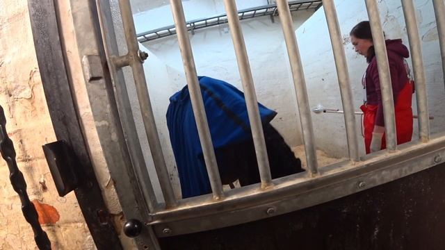 I KEEP TABS на допинг-контроле смотреть онлайн