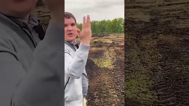 Зверь МУЛЬЧЕР КРУШИТ ДЕРЕВЬЯ И КУСТЫ/Расчистка с/х полей по РФ