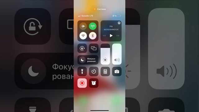 Как настроить яркость на айфоне?#яркость#айфон10 #айфон11 #айфон13про #айфон12#как#какнастроить