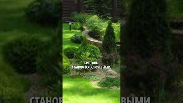 Тренды ландшафтного дизайна 2024