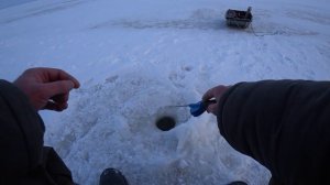 Ловим БЕРША на тюльку. Горьковское водохранилище, река Волга. Рыбалка два дня.