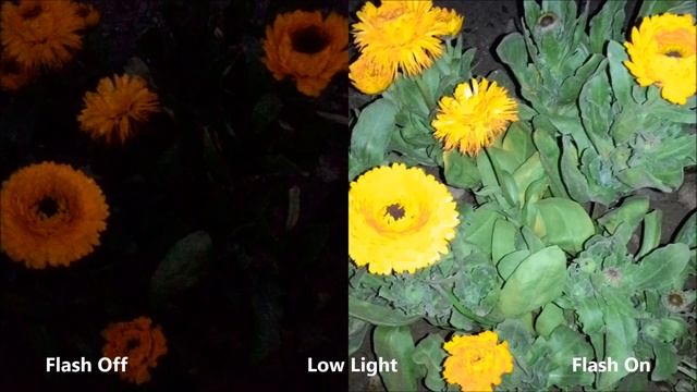 Asus Zenfone 5 (1.2 GHz Dual-core) Full Review смотреть онлайн