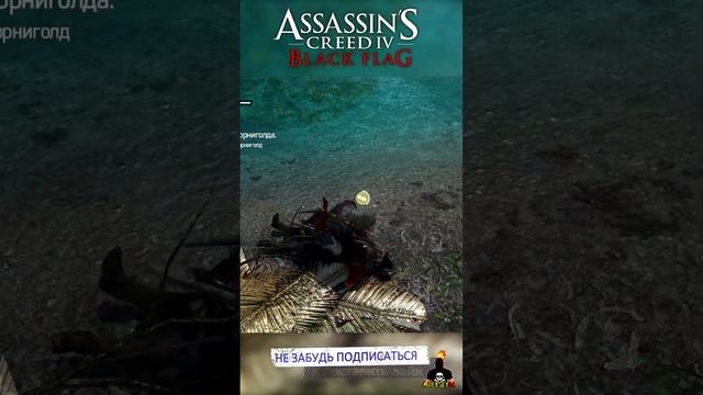 Он Меня Видел - Assassin's Creed 4 Black Flag #shorts #ajieksey24 #assassinscreed #ac4  #черныйфлаг