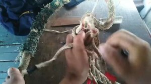 Cách chầu dây ( mối củ tỏi)