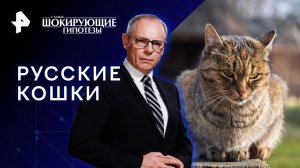 Русские кошки — Самые шокирующие гипотезы (03.08.2023)