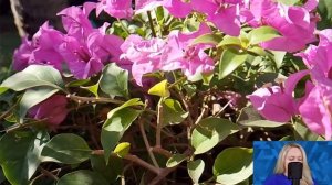 Муж ушёл к любовнице, оставив на жену ипотеку и долги. Но когда он вернулся ночью домой...