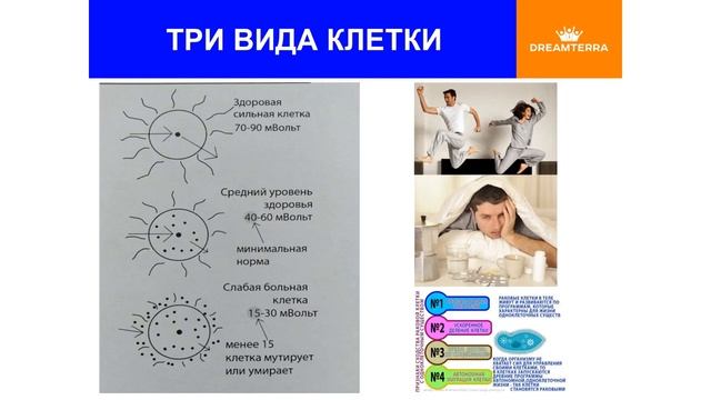 ТРИ ФАКТОРА ЗДОРОВЬЯ ОСНОВА ДОЛГОЛЕТИЯ