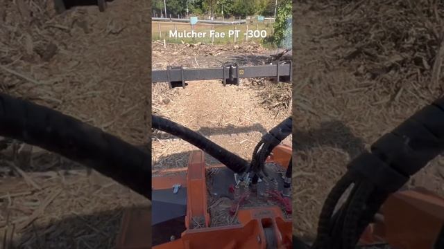 Залез в кабину Fae PT -300 #мульчерexpert #услугимульчера #антонхатунцев #мульчер