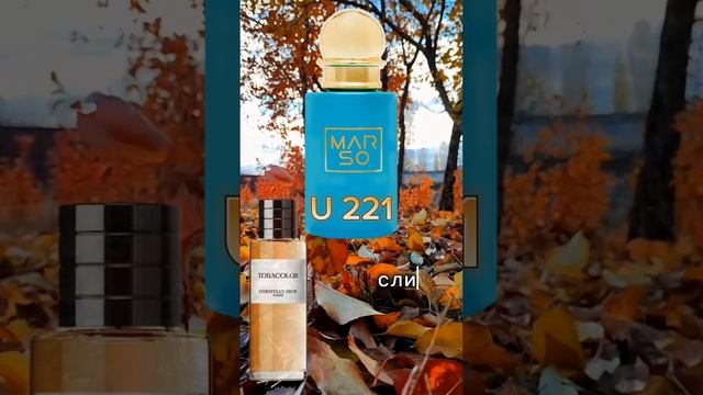 🍂🍁#ОСЕНЬ #MARSO #МОДА2024 #АРОМАСТИЛИСТ #ПАРФЮМ #АРОМАТ #ФРАНЦУЗСКАЯПАРФЮМЕРИЯ #ДУХИ