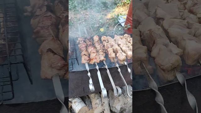 23 сентября 2023 г.