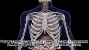 HAAK LIMITED:Терапия стволовыми клетками: Революция в медицине 🧬✨