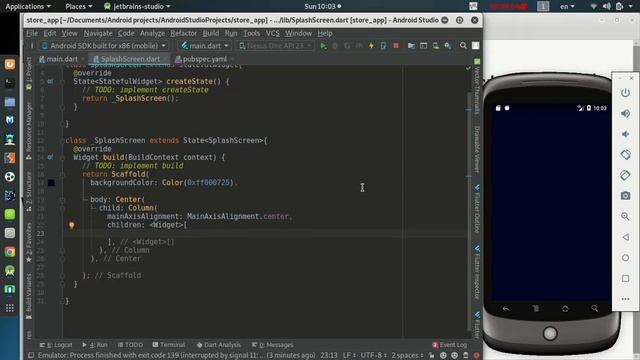 Create Professional Splash Screen with flutter- Store app with flutter