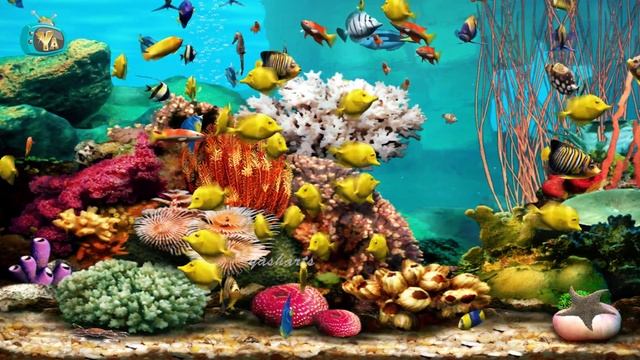 Coral Reef Aquarium | 1 HOUR 🐠 | Relaxing Fish Screensaver | Yash Arts смотреть онлайн