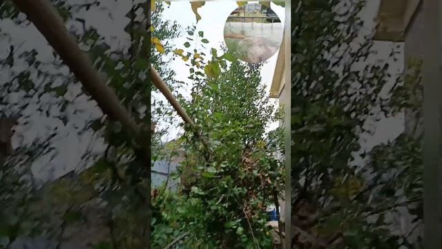 Ничто так не бодрит по утрам, как 8 часовой сон #ЗОЖ #закалка #моржевание смотреть онлайн