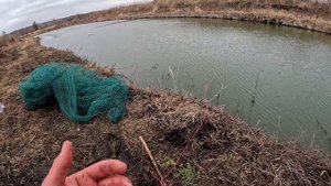 Голубые раки и золотые караси , давно таких ловили?) разведение раков в домашних условиях...