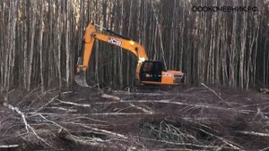 ОЧИСТКА ПОЛЯ ОТ БЕРЕЗОК.КОРЧЕВКА ПНЕЙ И ЦЕЛЫХ ДЕРЕВЬЕВ  ЭКСКАВАТОРОМ JCB 205.РАБОТАЕМ ПО РФ И СНГ
