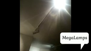 Отзыв megalamps cпот Arte Lamp TRACK LIGHTS A6210PL-1WH