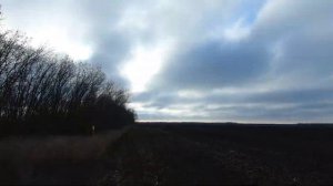 Охота на зайца. Все зайцы на одном поле.